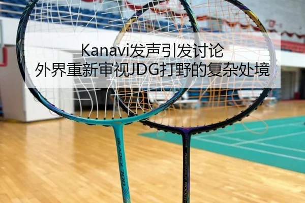 Kanavi发声引发讨论 外界重新审视JDG打野的复杂处境