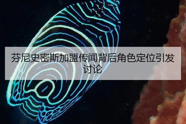 fen-ni-shi-mi-si-jia-meng-chuan-wen-bei-hou-jue-se-ding-wei-yin-fa-tao-lun-2-845.jpg